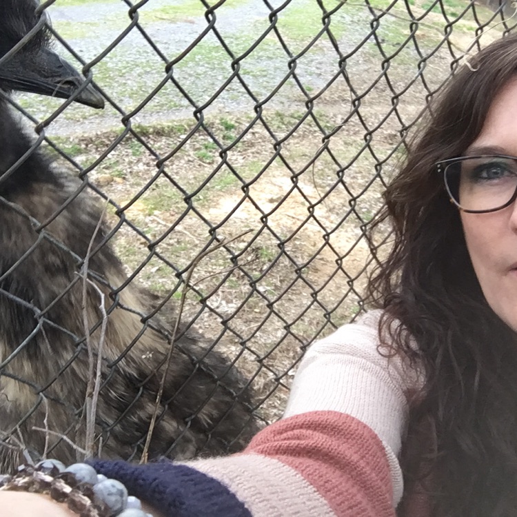 AngelJowers-Emu_Encounter